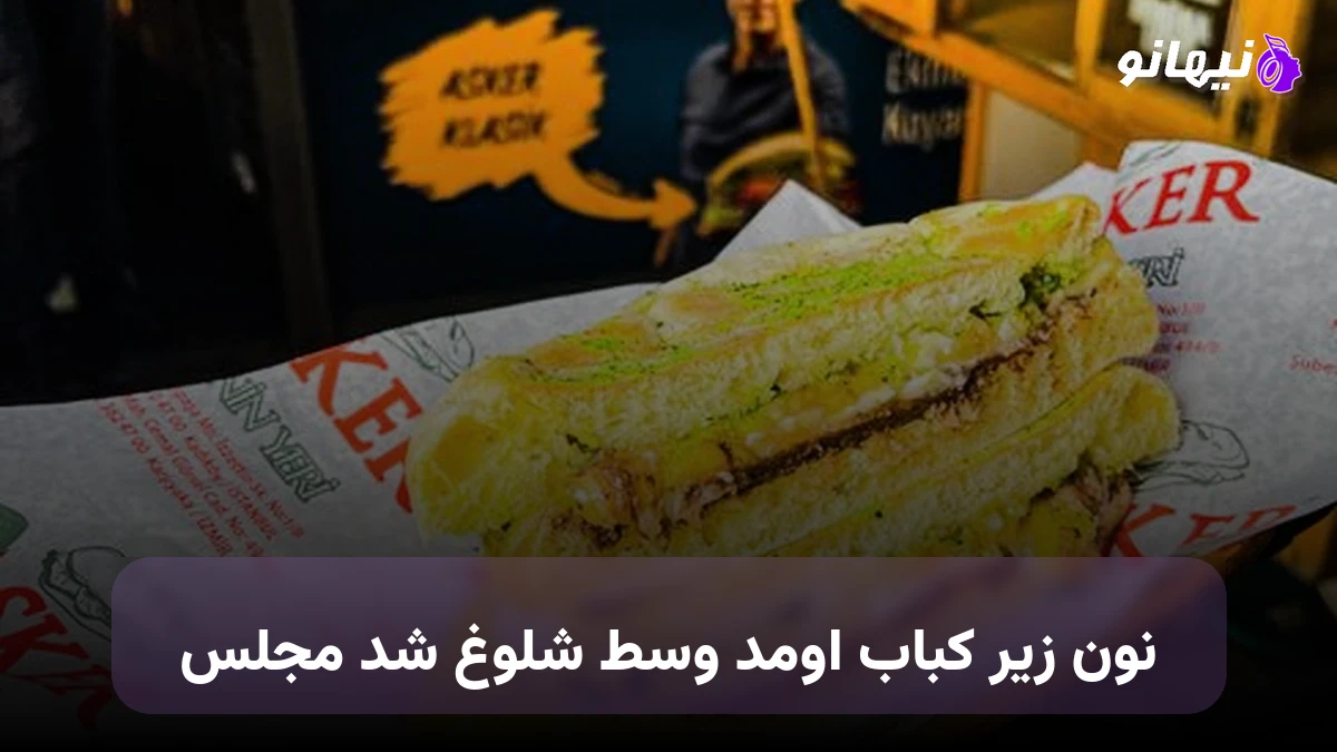 دانلود آهنگ نون زیر کباب اومد وسط شلوغ شد مجلس 